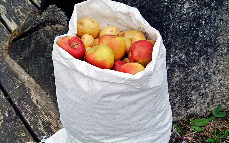 Zill PP-Bändchengewebesack mit Kartoffeln und Äpfeln gefüllt