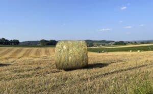 PowerWrap Rundballen liegt auf dem Feld